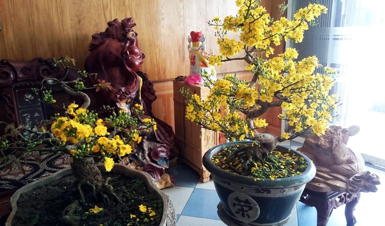 Cao Nguyen Hotel Pleiku Extérieur photo